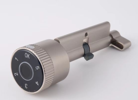 Smart Fingerprint Lever Door Lock with Touch Keypad