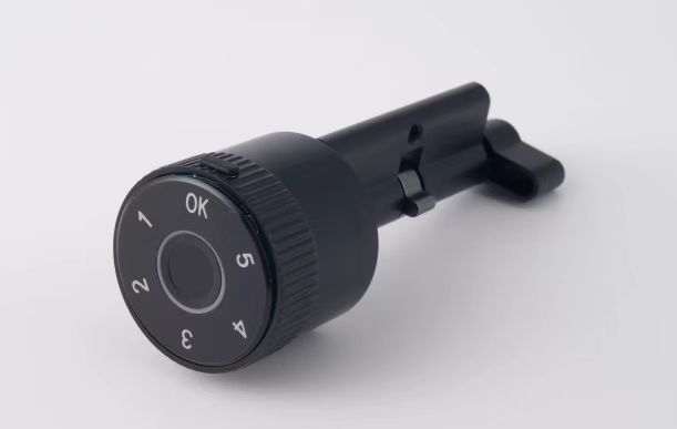 Smart Fingerprint Lever Door Lock with Touch Keypad